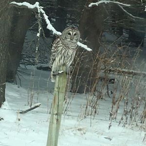 Meet your Posher, Keith